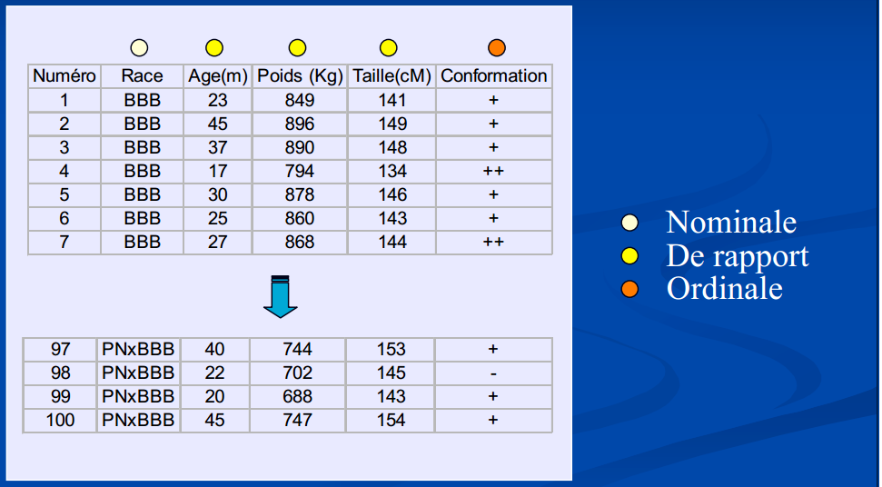 Figure 5… : Exemples d’échelles de mesure