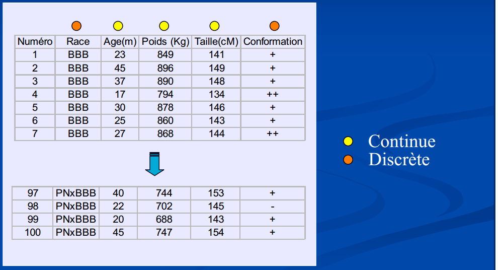 Figure 5…: Exemples de variables continues et discrètes