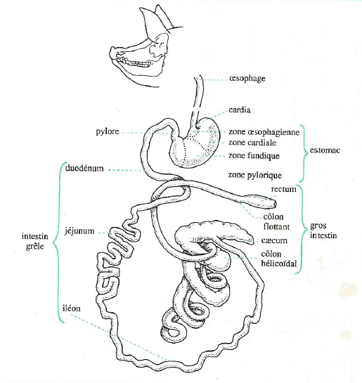 figures/fig31