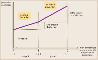 Figure 4.3 Évolution de la production de chaleur en fonction du bilan énergétique.