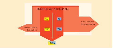 Figure 4.7 Utilisation de l’EM pour l’entretien et l’engraissement